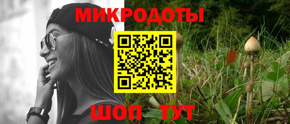 Галлюциногенные грибы прущие грибы Камышлов