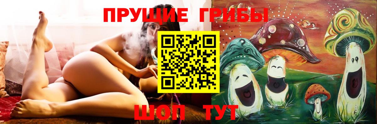 Псилоцибиновые грибы Psilocybine cubensis  Вход с VPN  Камышлов  Галлюциногенные грибы мицелий 